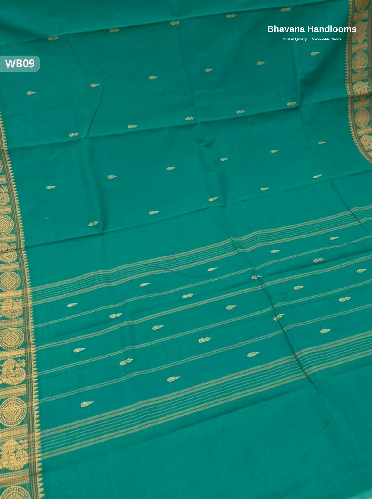Authentic Kanchi Cotton Handloom Saree – Sea Green Colour (Without Blouse)